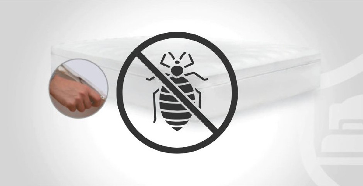 Sleep Tight, Don't Let the Bed Bugs Bite: Bed Bug Mattress Cover Protection