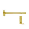 25-R-L-NL-DANE-US3-3-LHR Falcon Exit Device in Polished Brass