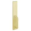 C1702C-605 PHI Dummy Trim with C Design Pull for Apex Concealed Vertical Rod Device in Bright Brass Finish