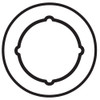 PBSP-135-609 Don Jo Scar Plate