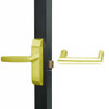 4600M-MW-642-US3 Adams Rite MW Designer Deadlatch handle in Bright Brass Finish