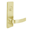 MSE-R-A-14-606-IC TownSteel Double Cylinder Storeroom Heavy Duty Low Escutcheon Mortise Lock with Artistic Lever Prep for SFIC in Satin Brass