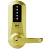 Simplex Pushbutton Lock in Bright Brass Finish