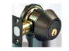 Arrow DBX Deadbolt Detail