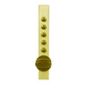 Simplex Cabinet Thumbturn Lock in Bright Brass Finish