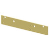 LCN 1460 Mounting Plate in Bright Brass