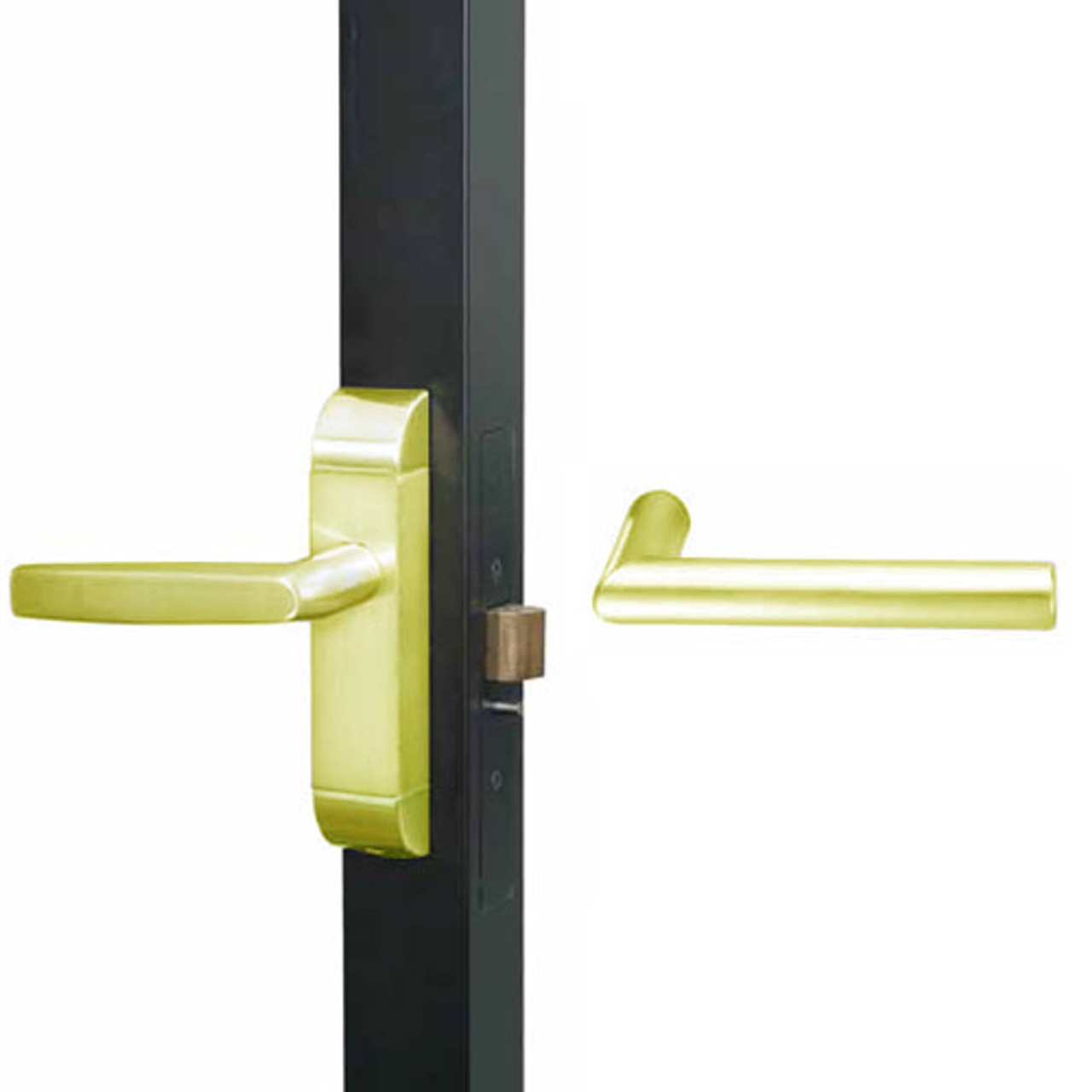 4600M-MI-652-US3 Adams Rite MI Designer Deadlatch handle in Bright Brass Finish