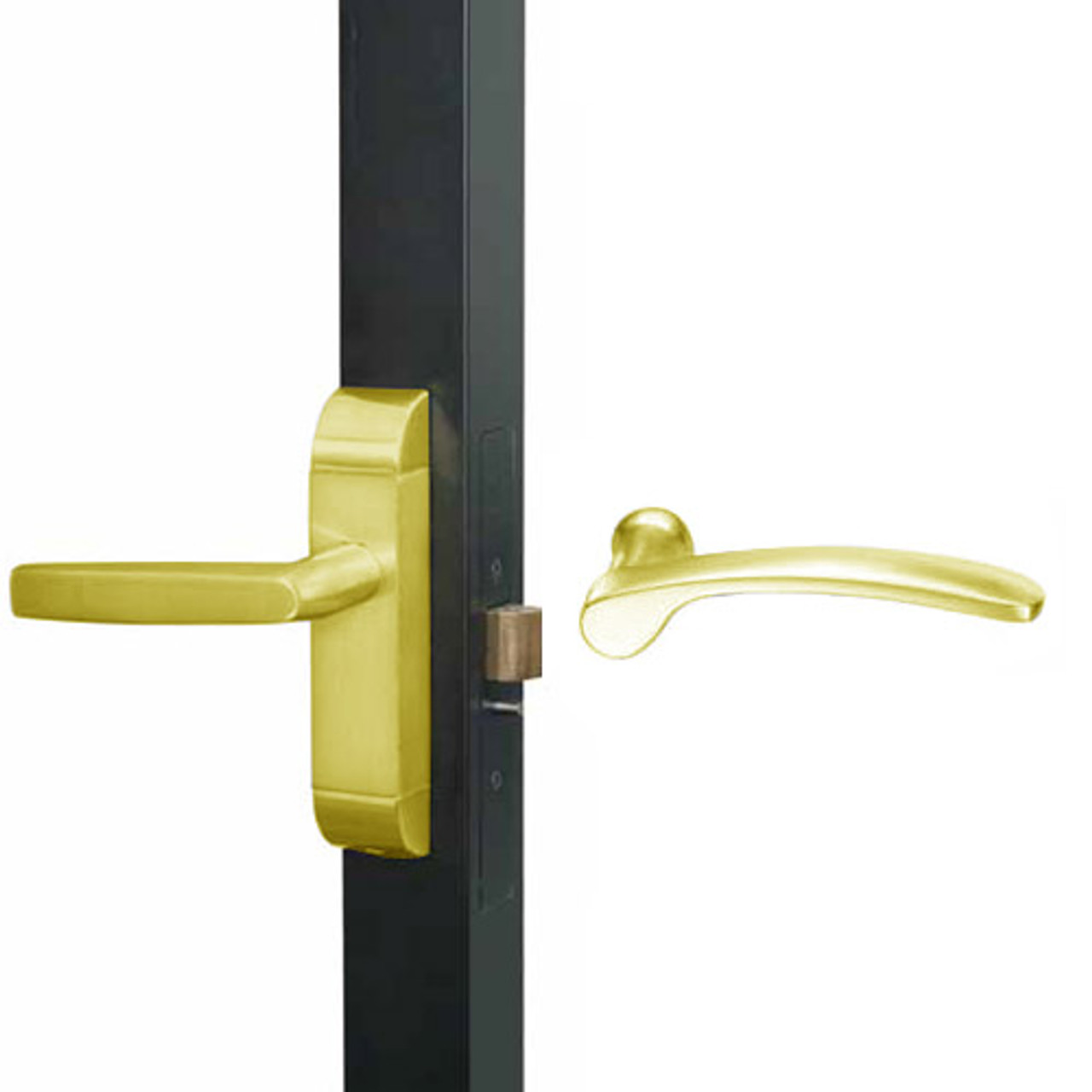 4600M-MN-532-US3 Adams Rite MN Designer Deadlatch handle in Bright Brass Finish