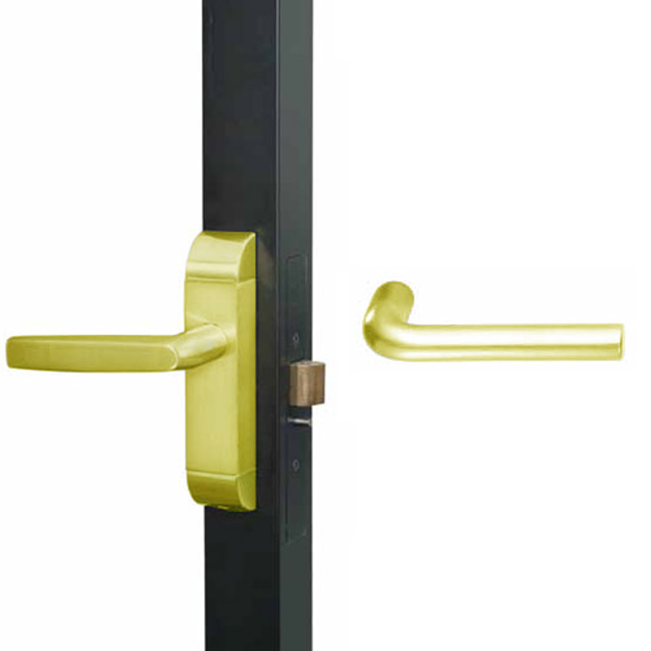 4600-ME-552-US3 Adams Rite ME Designer Deadlatch handle in Bright Brass Finish