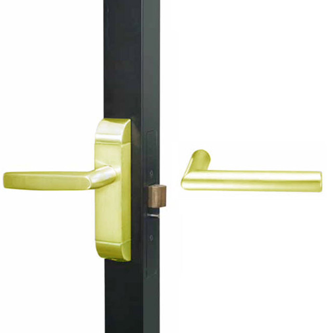 4600-MI-542-US3 Adams Rite MI Designer Deadlatch handle in Bright Brass Finish