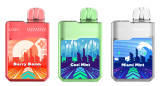 GEEK BAR DIGI FLAVOR 5% NICOTINE 20,000 PUFFS DISPOSABLE VAPE