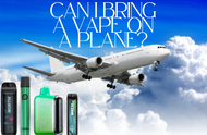 Can I Bring a Vape on a Plane? TSA Rules & Travel Tips