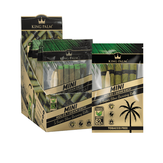 KING PALM – MINI – 5CT – DISPLAY