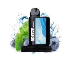 BREEZE PRIME Bluberry Mint, 6000 Puff ...