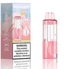 Foger Switch Pro Disposable Pods Frozen ...