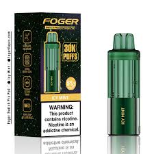 Icy Mint Foger Pro Pods: 30K Chilling ...