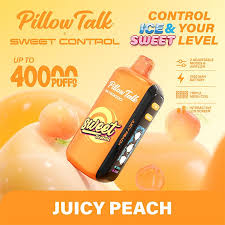 Pillow Talk SC40000 Ice & Sweet Control ...