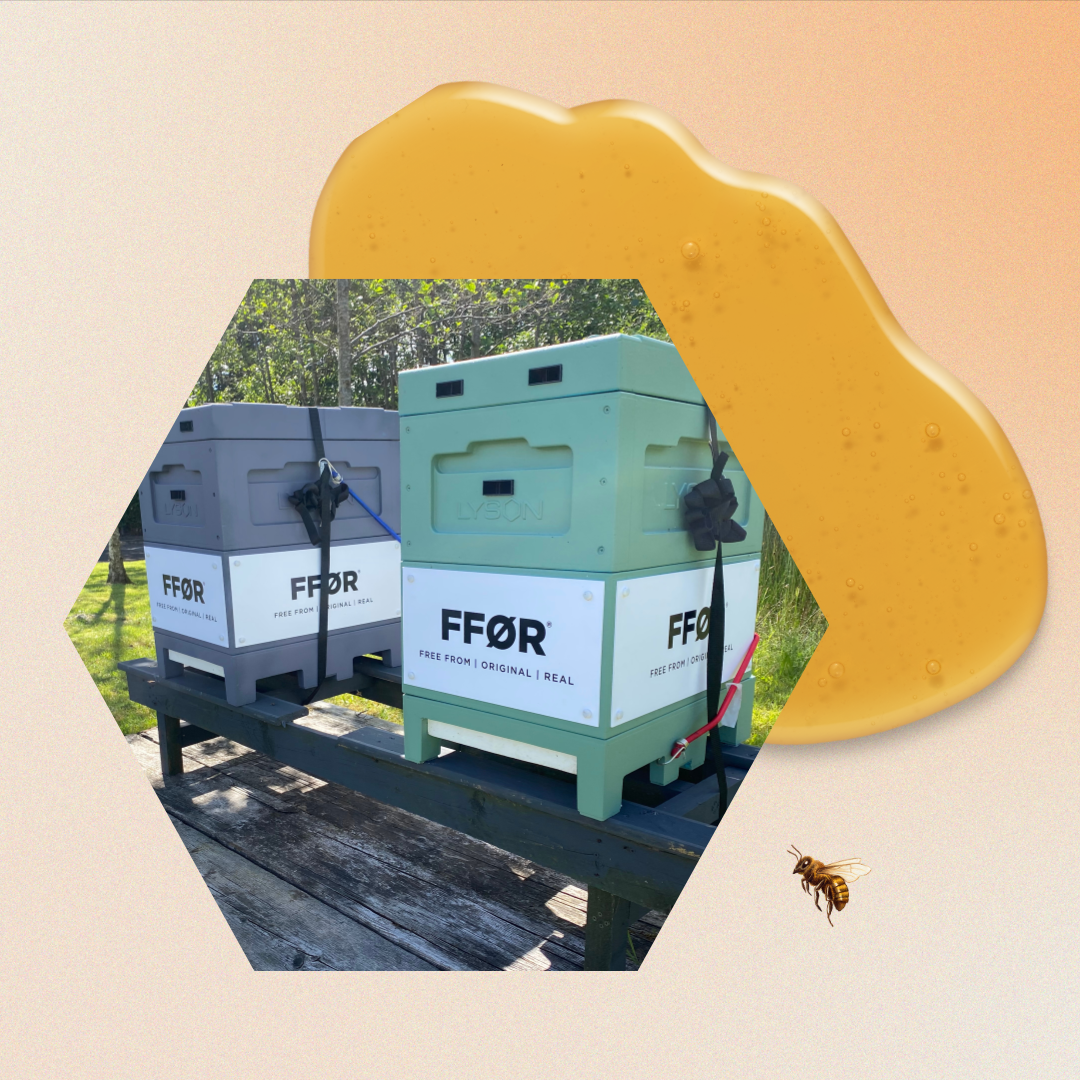 FFOR - Bee hives