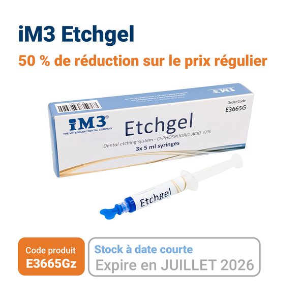 Composites de restauration, Composites temporaires