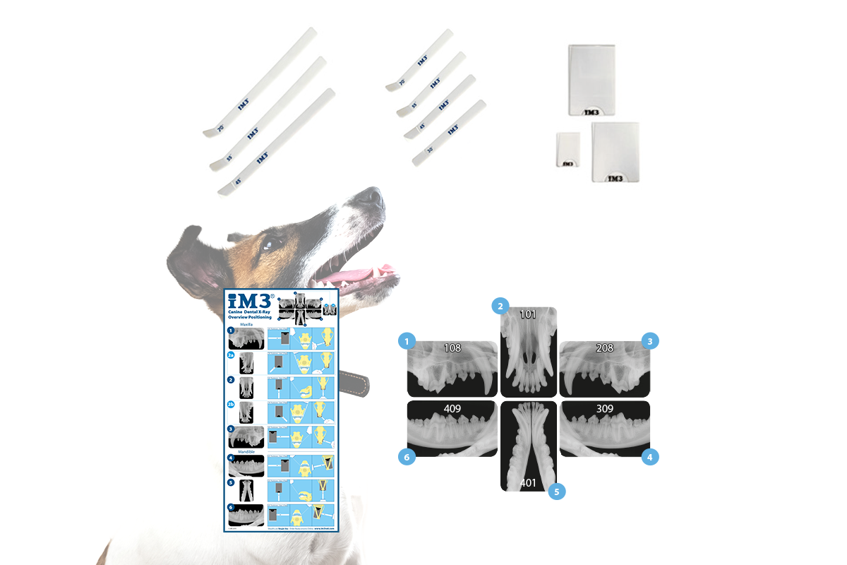 X-ray Positioning Kit