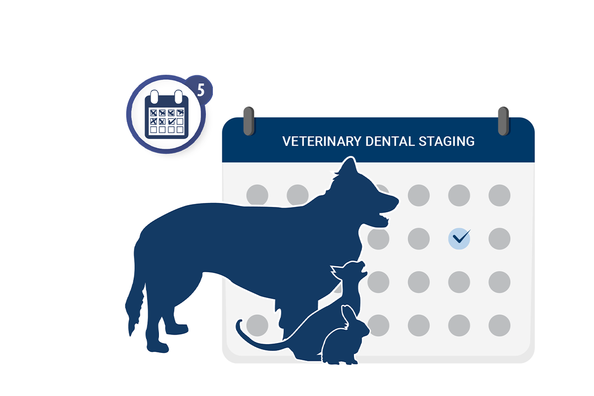 veterinary schedule