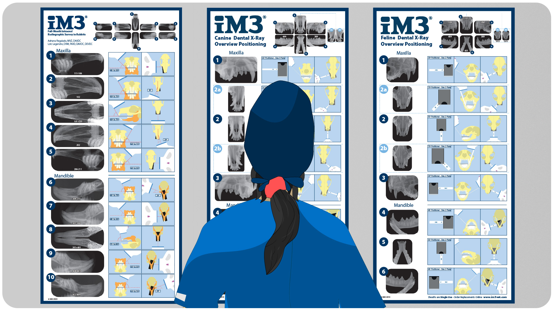 nurse with x-ray positioning help