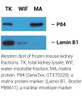 Minute™ Detergent-Free Nuclear Matrix Protein Extraction Kit (For Mammalian Cultured Cells/Tissues) (20 Preps) | NM-033