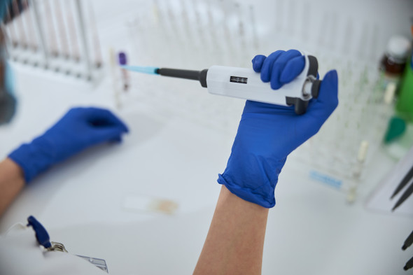 PP2AC (1 μg) pipetting PP2AC (1 μg) pipetting