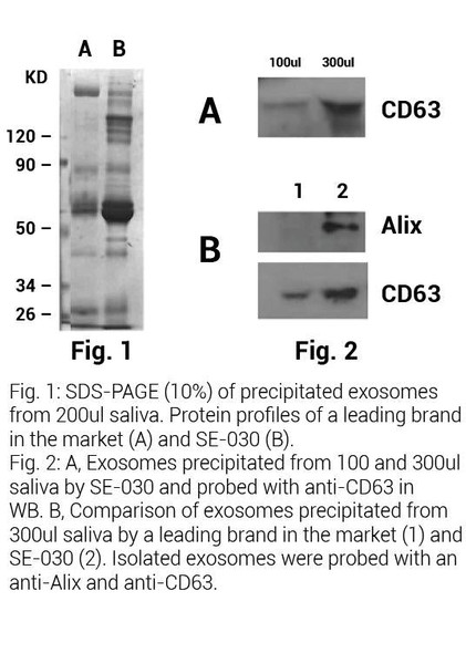 Minute™ High-Efficiency Saliva Exosome Isolation Kit (50 Preps) | SE-030