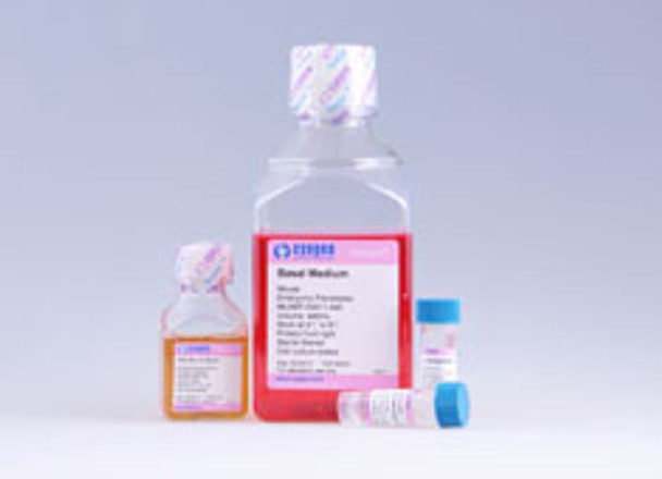 Strain ICR Mouse Embryonic Fibroblast Growth Medium | MUXEF-90011