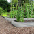 Metal Galvanized Raised Garden Bed with Open-Ended Base-6 x 3 ft - Color: Silver - Size: 6 x 3 ft D681-GT4047SR