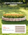 Faux Stone Landscape Edging 46.8 x 3.9 in Realistic Lawn Edging, Flexible Brick-Sized Garden Edging E415-RZSPZZCCMH00QBP1GV0