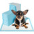 Dog and Puppy Pee Pads 18" x 13" (300 Counts) for Potty Training-Blue B593-PU10098