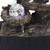10" Black Polyresin Wolf Tabletop Fountain Sculpture N270-468304