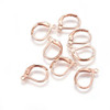 Stainless Steel Ear Wire LEVERBACK with Loop 16x10mm Rose Gold Plated