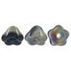 Bell Flower Czech Beads 8x6mm MATTE JET VITRAIL