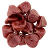 Three Petal Flower Czech Glass Beads 12x10mm METALLIC SUEDE GUAVA