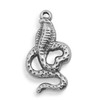 CHARM-Snake-26mm Stainless Steel