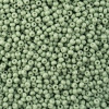 EUCALYPTUS CHALK DYED SOLGEL Preciosa Czech Seed Beads 11/0