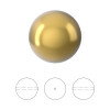 Swarovski Crystal Pearls 4mm Round ROYAL GOLD 5810 (Pack of 50)