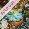 Terra Verde Beads Collection LITE SOLD OUT