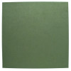Ultrasuede Sheet TOPIARY 8.5x8.5-in