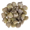 2-Hole GINKGO LEAF Czech Glass Beads  Matte - Ashen Gray - Rembrandt