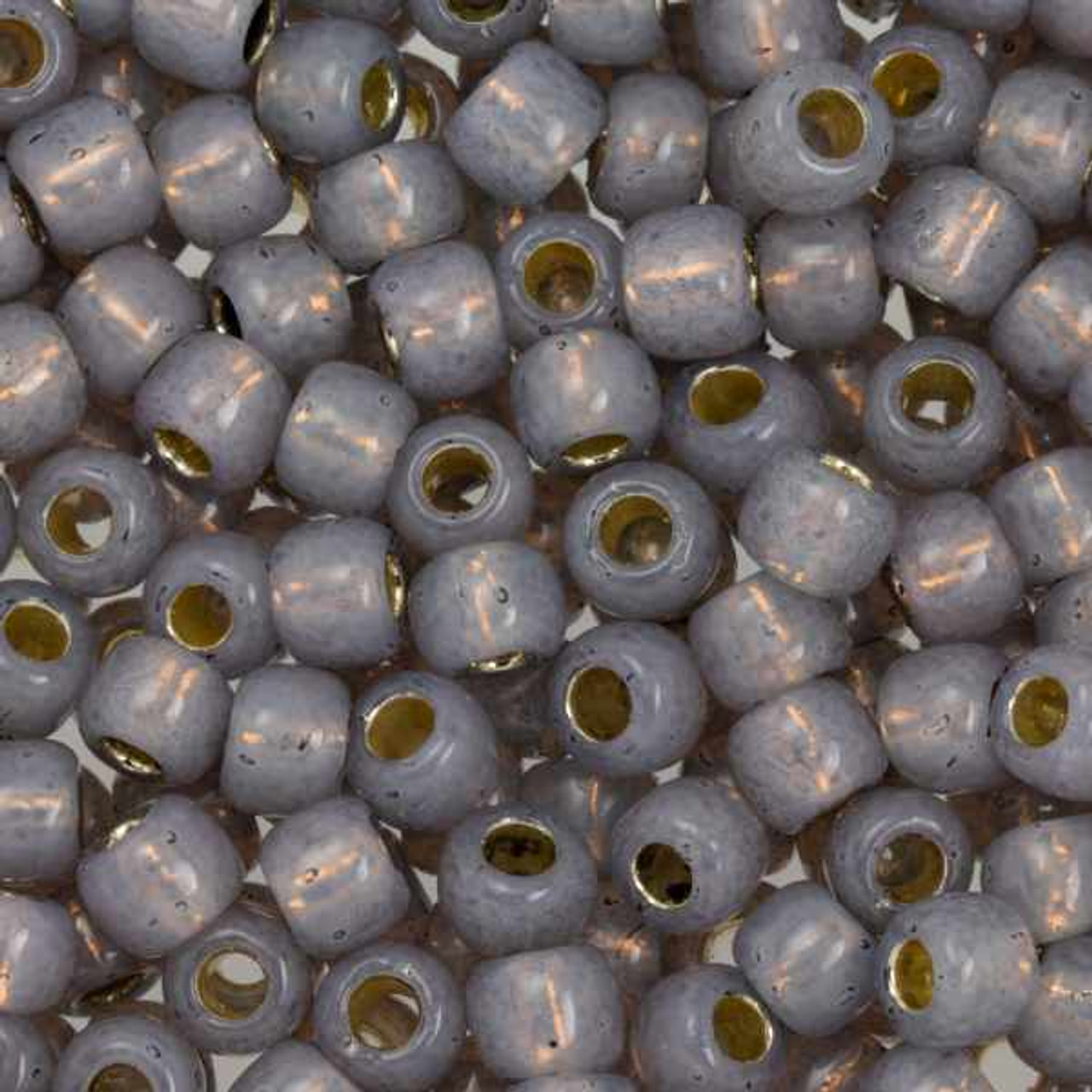 Toho Round Seed Beads 6/0 Silver Lined Goldenrod 2.5-inch tube (2110)