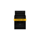 Whirlpool® 30-inch Electric Range with Steam Clean YWFES3330RB