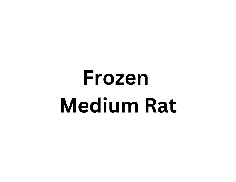 Frozen Medium Rat