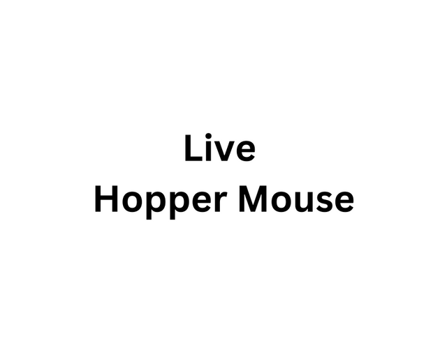 Live Hopper Mouse