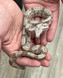Hog Island Boa