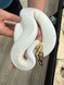 Super Pastel Piebald Ball Python