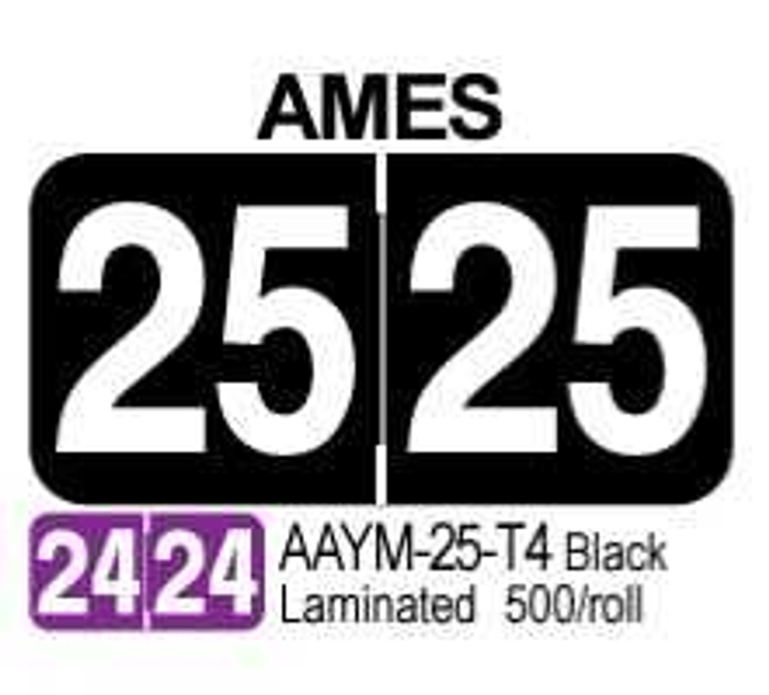 2025 AMES Year Label Black Laminated 500/roll Year Labels AAYM-25-T4 First Products